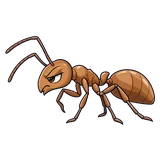Illustration of Argentine ant