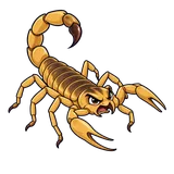 Illustration of Arizona bark scorpion