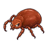 Illustration of Asian longhorned tick