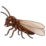 Illustration of Asian subterranean termite