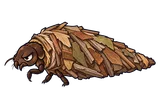 Illustration of the bagworm