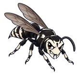 Illustration of Bald-faced hornet