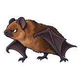 Illustration of Big brown bat