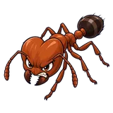 Illustration of Bigheaded ant