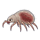Illustration of Bird mites