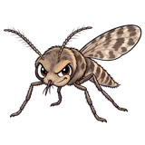 Illustration of Biting midges / no-see-ums