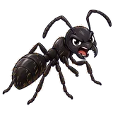 Illustration of Black carpenter ant