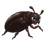 Illustration of Black carpet beetle