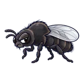 Illustration of Black flies