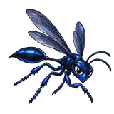 Illustration of Blue mud dauber
