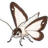 Illustration of Box tree moth