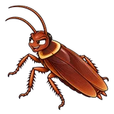 Illustration of Brown cockroach