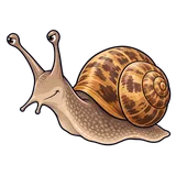 Illustration of Brown garden snail