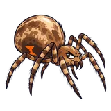 Illustration of Brown widow