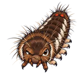 Illustration of the browntail moth