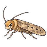 Illustration of Casemaking clothes moth