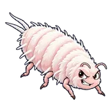 Illustration of Citrus mealybug