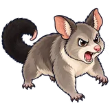 Illustration of Common brushtail possum