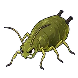 Illustration of Cotton / melon aphid