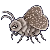 Illustration of Drain flies