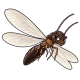 Illustration of Eastern subterranean termite