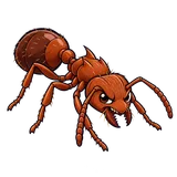 Illustration of European fire ant