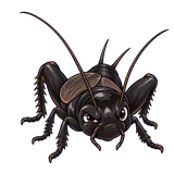 Illustration of Field crickets