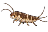 Illustration of Firebrat