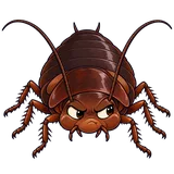 Illustration of Florida woods cockroach