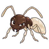 Illustration of Ghost ant