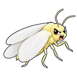 Illustration of Greenhouse whitefly