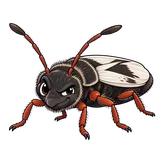 Illustration of Hairy chinch bug