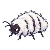 Illustration of Hemlock woolly adelgid