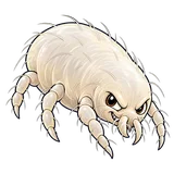 Illustration of House dust mites