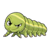 Illustration of the imported cabbageworm