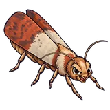 Illustration of Indianmeal moth