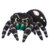 Illustration of Jumping spiders