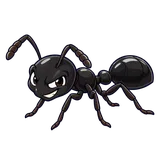 Illustration of Little black ant