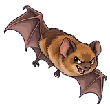 Illustration of Little brown bat