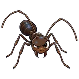 Illustration of Longhorn crazy ant