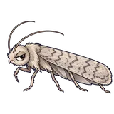 Illustration of Mediterranean flour moth