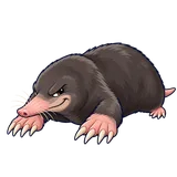 Illustration of Moles