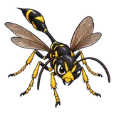 Illustration of Mud daubers