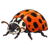Illustration of Multicolored Asian lady beetle