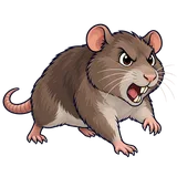 Illustration of Norway rat