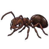Illustration of Odorous house ant