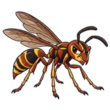 Illustration of Paper wasps