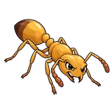 Illustration of Pharaoh ant