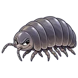 Illustration of Pillbugs and sowbugs