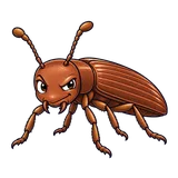 Illustration of the powderpost beetles